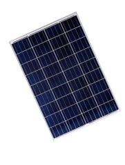 Lexron 125 W Polikristal Güneş Paneli