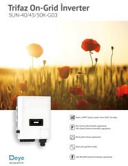 Deye 50kw Trifaze Ongrid İnverter