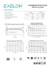 Exelon 51.2 V 314 Ah 16 kW LiFePO4 Lityum Akü