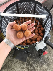 Kadıoğlu Cks80 80 Litre 60 Kg Ceviz Soyma Makinesi Sabit Devirli